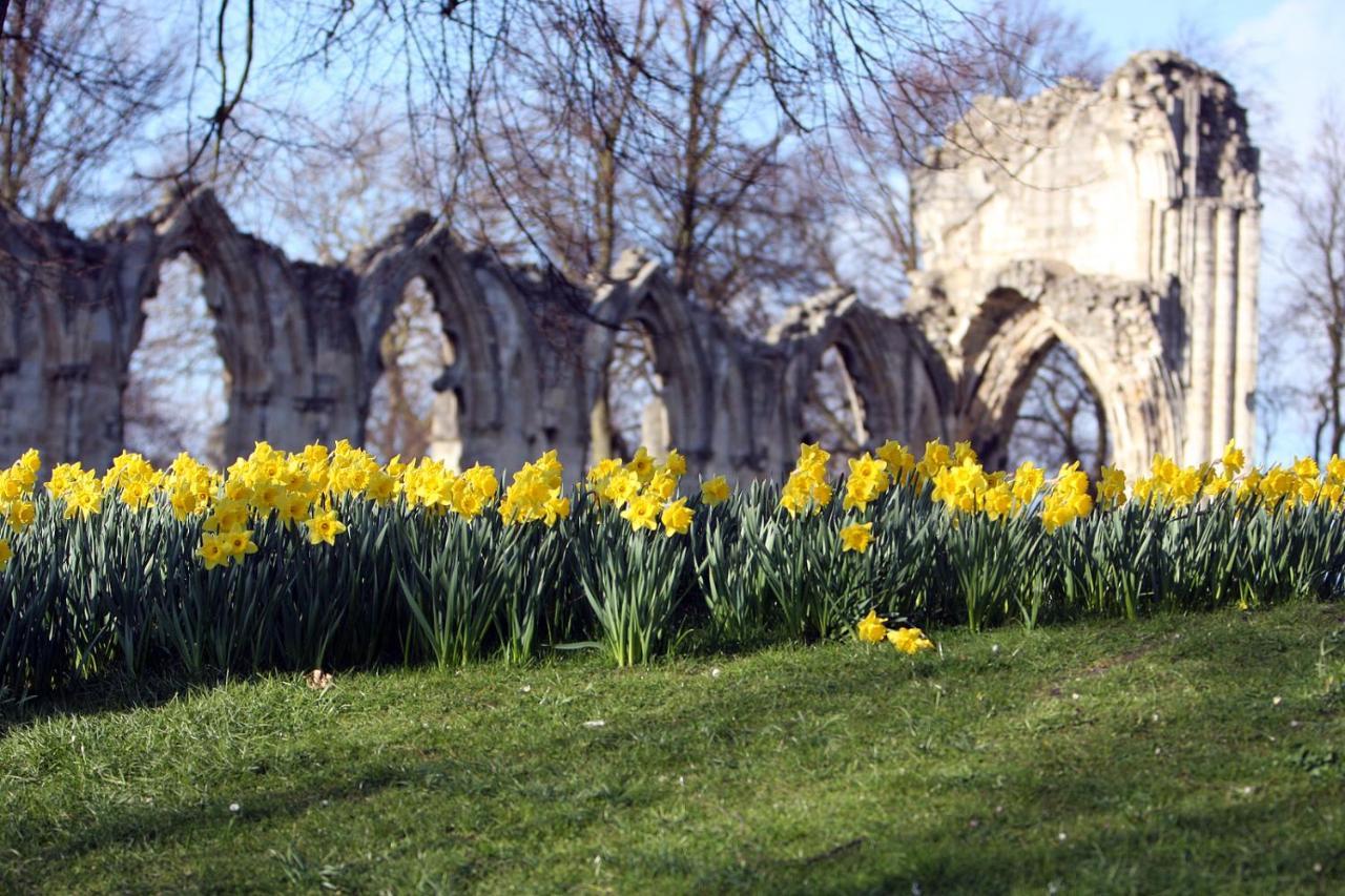 Avondale Casa de hóspedes York
